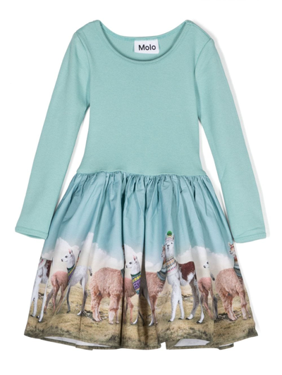 Shop Molo Casie Stretch-organic Cotton Dress In Blue