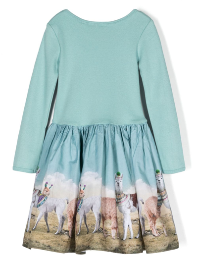 Shop Molo Casie Stretch-organic Cotton Dress In Blue
