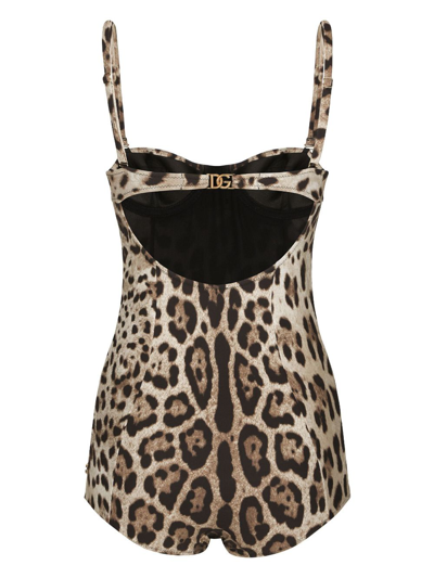 Shop Dolce & Gabbana Leopard-print Logo-lettering Swimsuit In Neutrals
