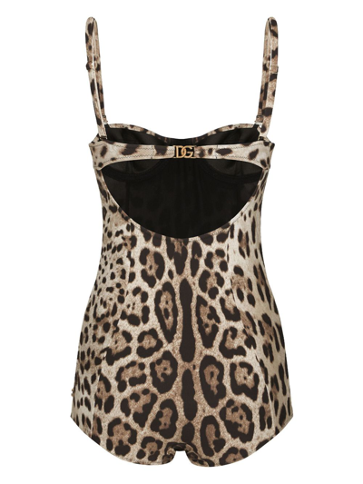 Dolce & Gabbana Leopard-print Logo-lettering Swimsuit In Neutrals