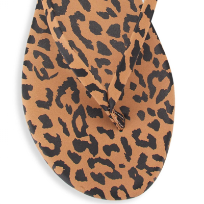 Shop Tkees Studio Exotic Slides In Nubuck Cheetah In Multi