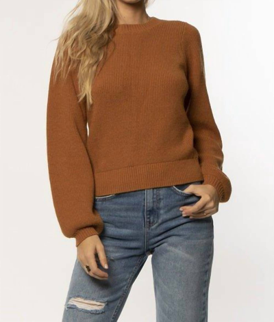 Shop Amuse Society Lulu Long Sleeve Sweater In Tawny In Multi