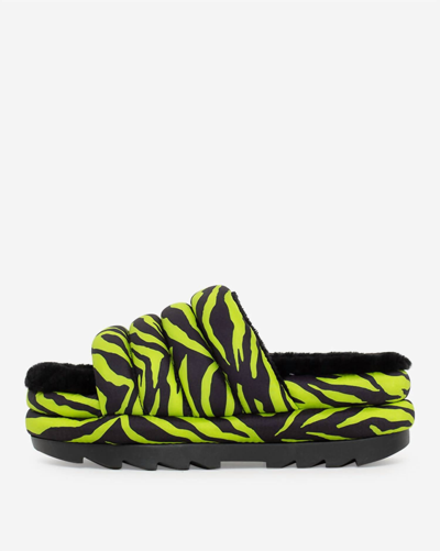 Ugg Maxi Slide Tiger Print In Key Lime In Multi