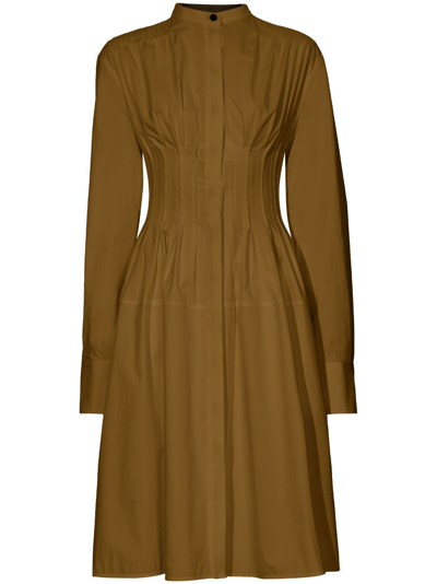 Shop Proenza Schouler Band-collar Cotton Shirt Dress In Brown