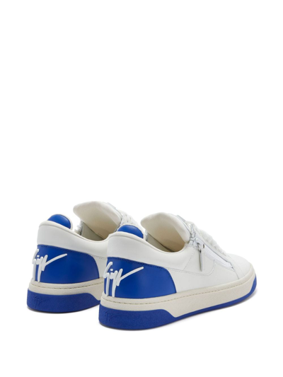 Shop Giuseppe Zanotti Low-top Leather Sneakers In White