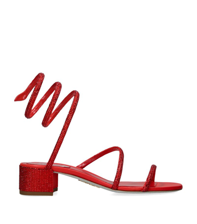 Shop René Caovilla Embellished Cleo Sandals 35 In Red