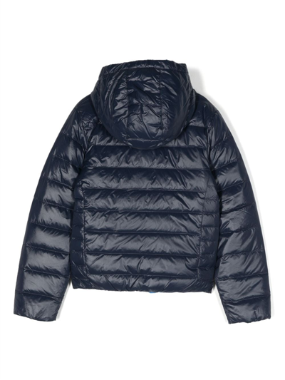 Shop Bosswear Logo-print Padded Hooded Jacket In Blue