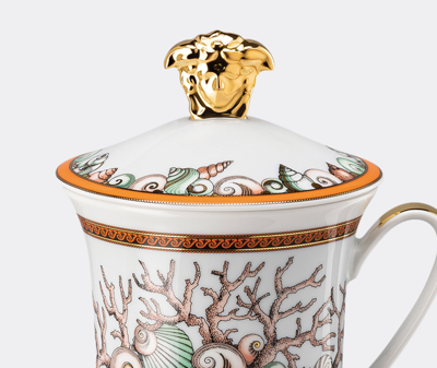 ROSENTHAL TEA AND COFFEE MULTICOLOR UNI 