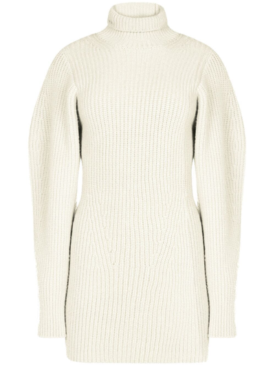 Shop Nina Ricci Roll-neck Ribbed-knit Minidress In Neutrals