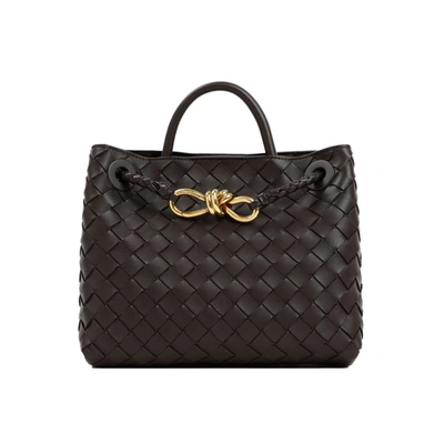 Bottega Veneta Andiamo brown medium bag