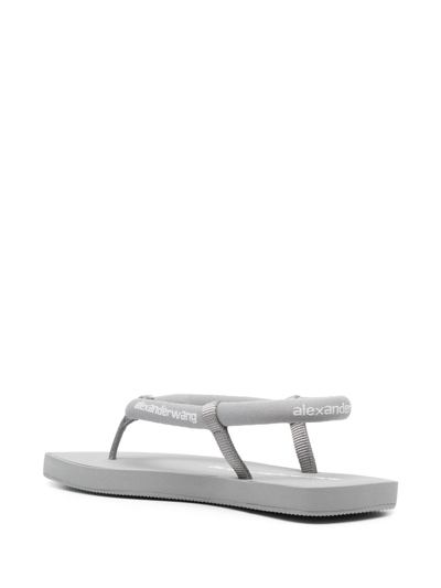 Shop Alexander Wang Logo-print Thong Sandals In Grau