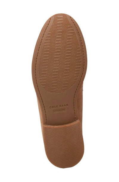 Shop Cole Haan Stassi Penny Loafer In Blush Suede