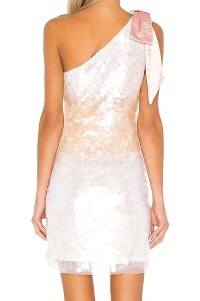 Parker Black Rowan Combo Dress In Moonstone In Pink