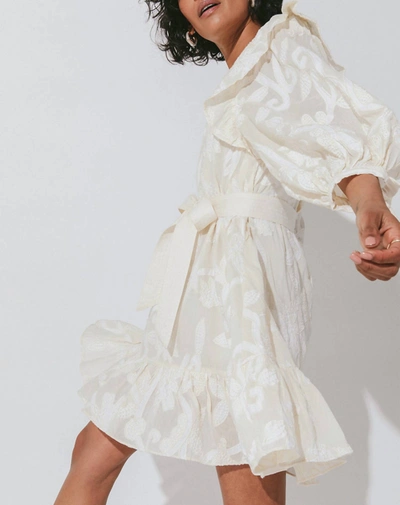 Cleobella Alana Mini Dress In Multi