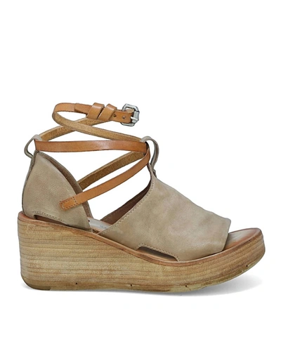 Shop As98 Nino Wedge Sandal In Taupe In Brown