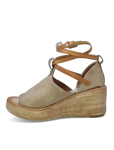 Shop As98 Nino Wedge Sandal In Taupe In Brown