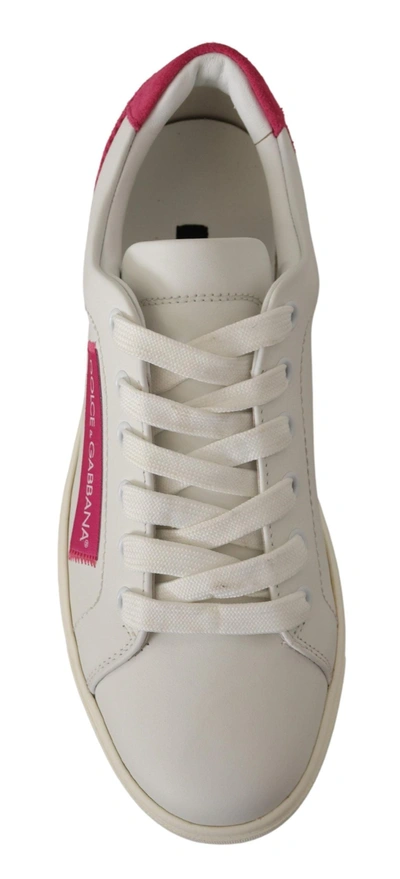 Shop Dolce & Gabbana Pink Leather Low Top Sneakers Womens Shoes In White