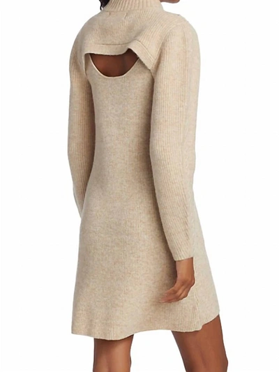Dh New York Eve Sweater Dress In Chai In Brown