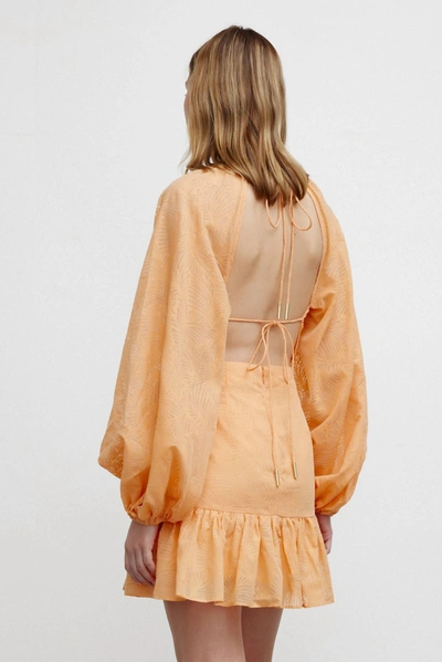 Significant Other Zofia Mini Dress In Tangerine In Orange