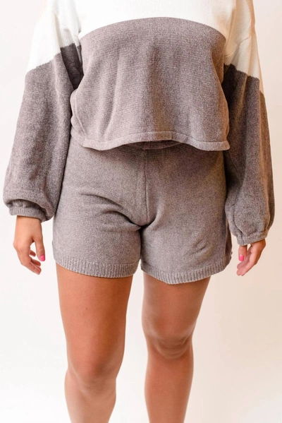 Askk Ny Malibu Beach Short In Grey
