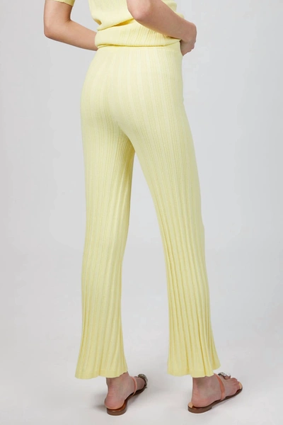 Shop Ronny Kobo Xiomara Knit Pant In Pale Yellow