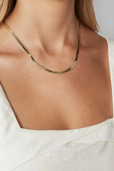 Shop Natalie Marie Nour Necklace In Yellow Gold