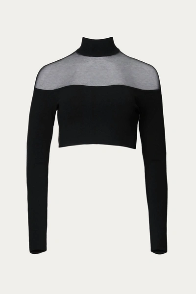 Shop Zeynep Arcay Sheer Crop Knit Top In Black