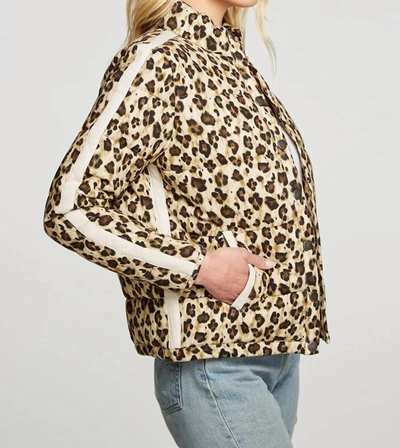 Chaser Heirloom Wovens Quilted Cropped Mock Neck Puffer Jacket In Bobcat Print In Multi