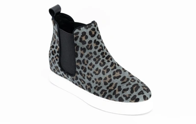 Shop All Black Women's Wild Chelsea Sneakers In Grey Leopard