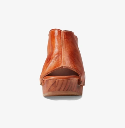 Bed Stu Deva In Cognac Dip Dye In Multi