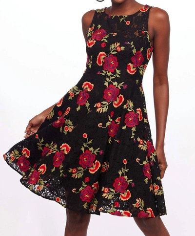 Eva Franco Mirabele Dress In Gypsy Rose In Multi