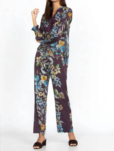 Johnny Was Cruz Stella Pant In Multi