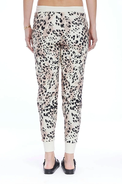 Saltwater Luxe Landon Pant In Vanilla Leopard Fiesta In Multi
