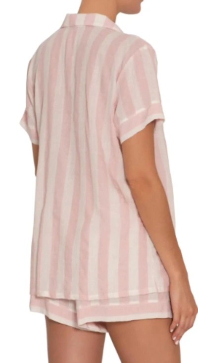 Shop Eberjey Umbrella Stripe Woven Shorty Pajamas Set In Pink/ivory In Multi