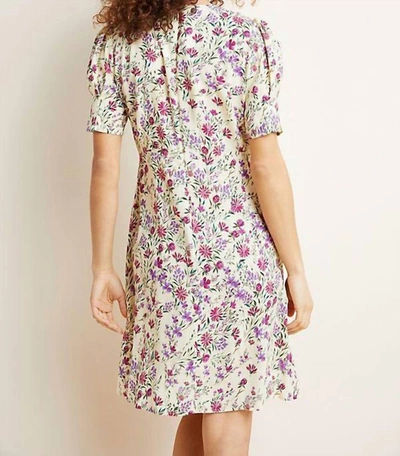 Shop Velvet By Graham & Spencer Charlie Printed Dress In Multi Floral