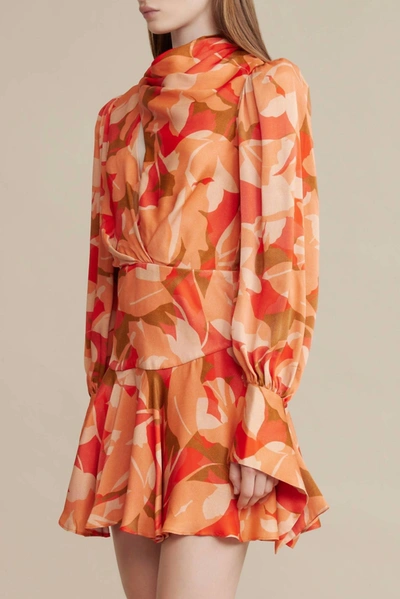 Shop Acler Dunleer Dress In Amber Bloom In Multi