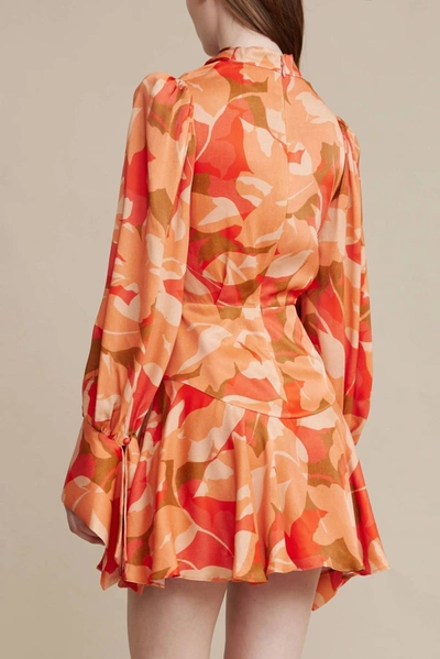 Shop Acler Dunleer Dress In Amber Bloom In Multi