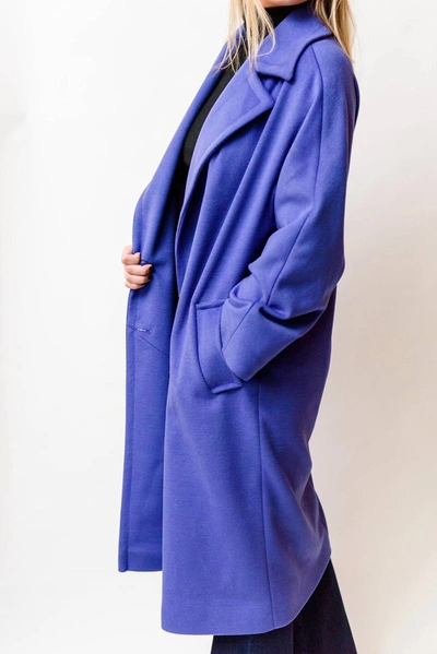 Shop Helene Berman Rachel Coat In Purple