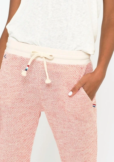 Sol Angeles Baja Terry Jogger In Pink