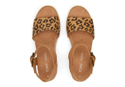 Shop Toms Diana Wedge In Doe Leopard In Multi