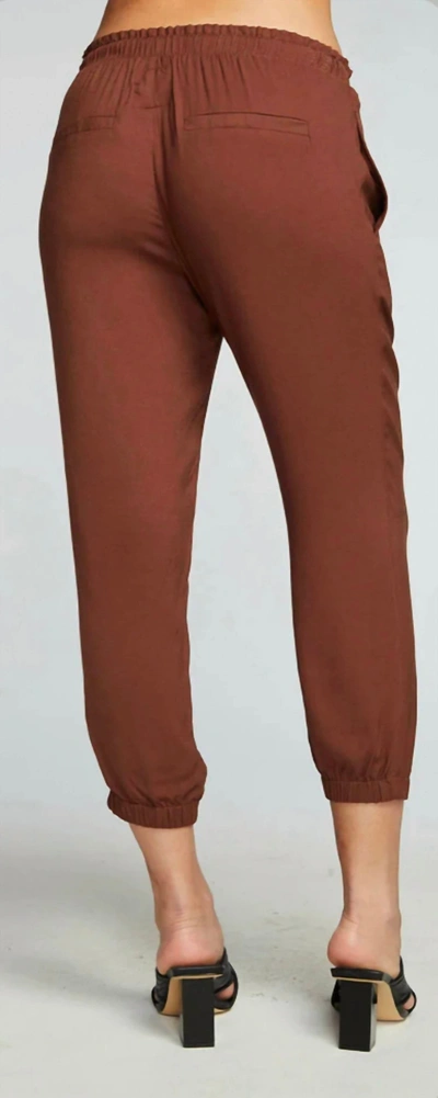 Chaser Heirloom Wovens Cropped Paperbag Waist Pant In Cappuccino In Brown