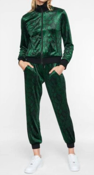 Shop Pam & Gela Stripe Snake Track Jacket In Evergreen In Green