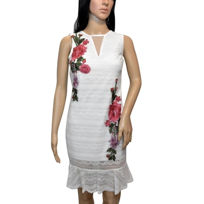 Shop Bebe Floral Embroidered Sleeveless Lace Dress In White