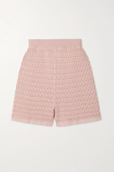 Mr Mittens Pointelle-knit Cotton Shorts In Pink