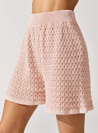 Mr Mittens Pointelle-knit Cotton Shorts In Pink