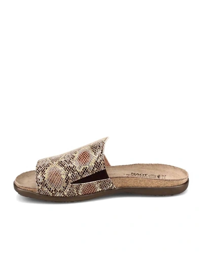 Naot Skylar Slide Sandal In Multi