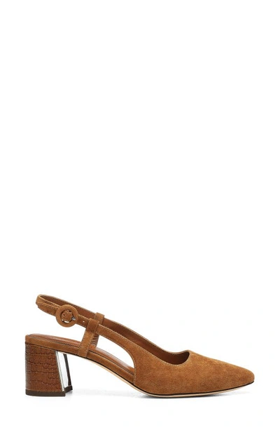 Shop Donald Pliner Song Slingback Pointed Toe Pump In Saddle