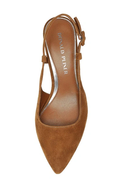 Donald Pliner Song Slingback Pointed Toe Pump In Saddle