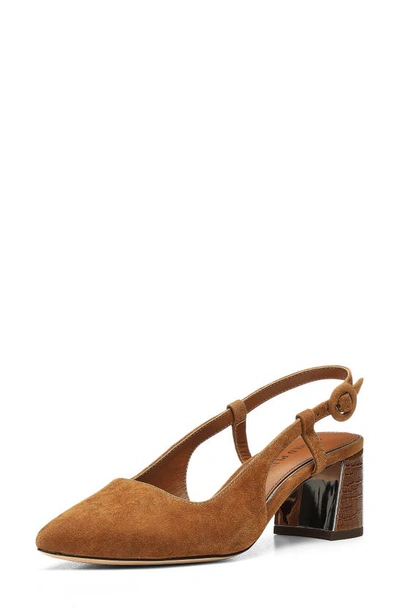 Donald Pliner Song Slingback Pointed Toe Pump In Saddle