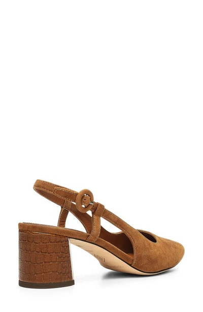 Donald Pliner Song Slingback Pointed Toe Pump In Saddle